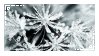 stamp with a close-up of ice crystals